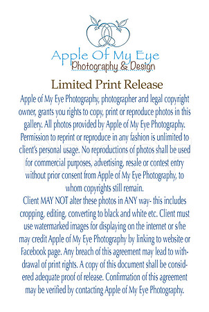 Apple of My Eye Print Release
