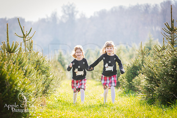 Buchman_Xmas_2015_Sharing (5 of 5)