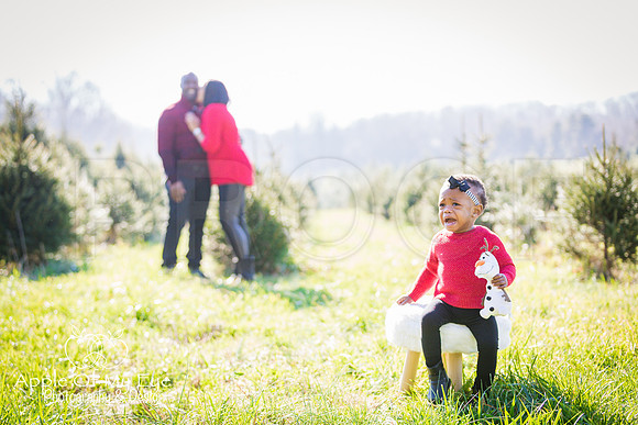 Roberts_Xmas_2015_Sharing (17 of 17)