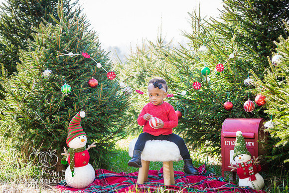 Roberts_Xmas_2015_Sharing (5 of 17)