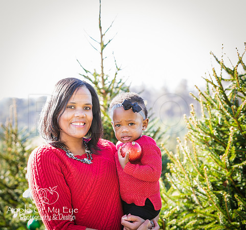 Roberts_Xmas_2015_Sharing (10 of 17)