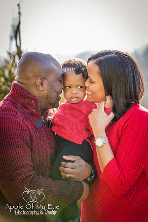 Roberts_Xmas_2015_Sharing (3 of 17)
