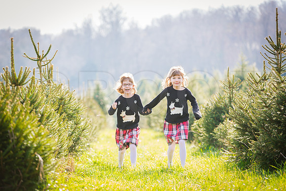 Buchman_Xmas_2015_Printing (5 of 5)
