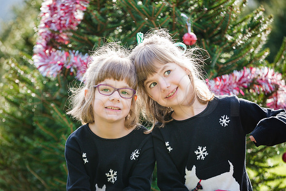 Buchman_Xmas_2015_Printing (2 of 5)