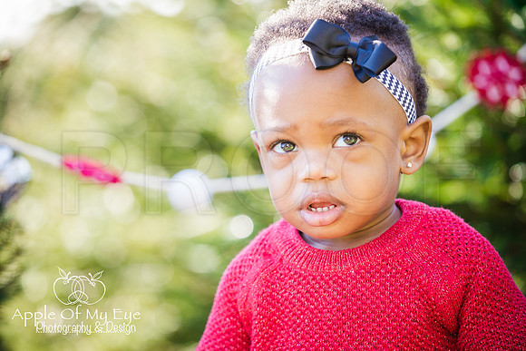 Roberts_Xmas_2015_Sharing (7 of 17)