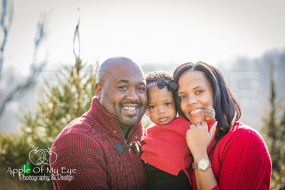 Roberts_Xmas_2015_Sharing (2 of 17)