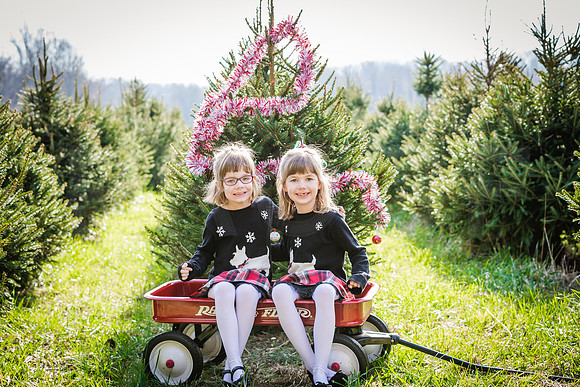 Buchman_Xmas_2015_Printing (3 of 5)