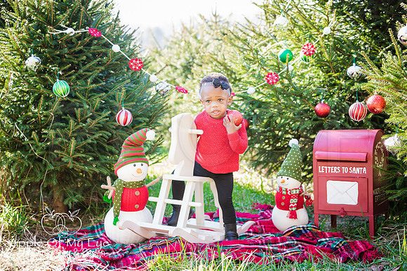 Roberts_Xmas_2015_Sharing (8 of 17)