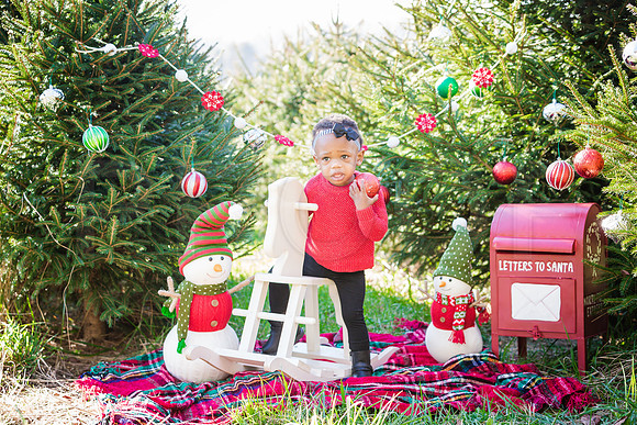 Roberts_Xmas_2015_Printing (8 of 17)