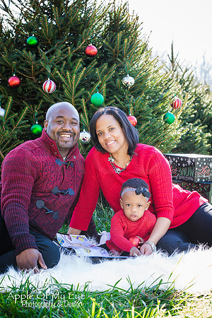 Roberts_Xmas_2015_Sharing (16 of 17)