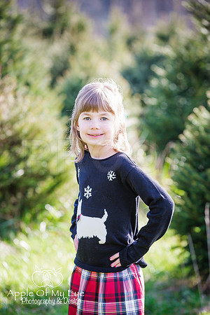 Buchman_Xmas_2015_Sharing (4 of 5)