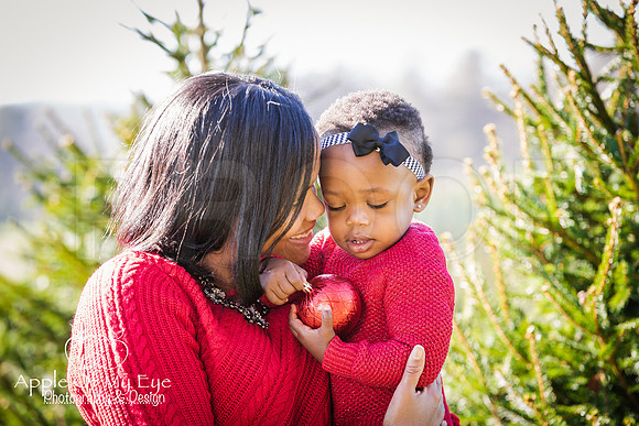 Roberts_Xmas_2015_Sharing (11 of 17)