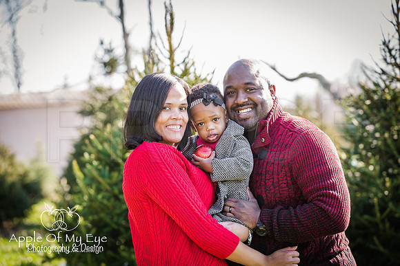 Roberts_Xmas_2015_Sharing (12 of 17)