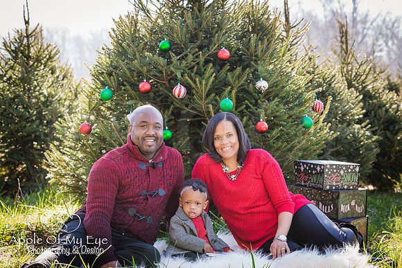 Roberts_Xmas_2015_Sharing (1 of 17)