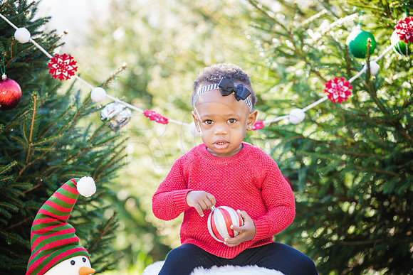 Roberts_Xmas_2015_Printing (6 of 17)