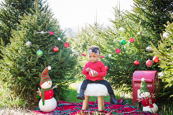 Roberts_Xmas_2015_Printing (5 of 17)