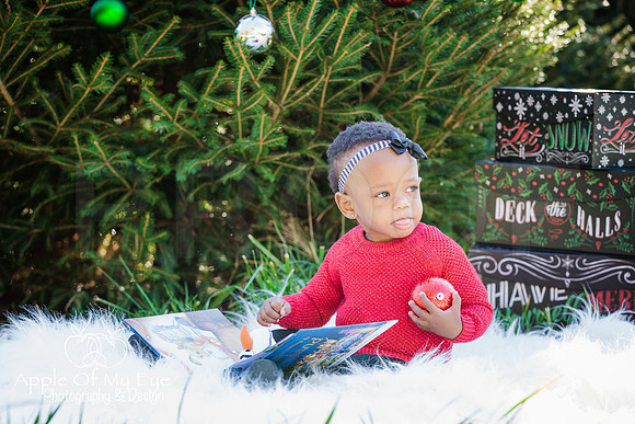 Roberts_Xmas_2015_Sharing (15 of 17)