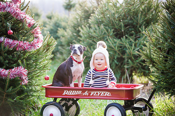 Wharton_Xmas_2015_Printing-14