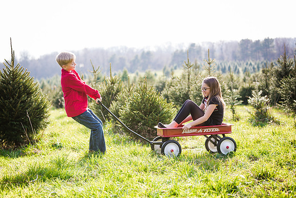 Fitch_Xmas_2015 (100 of 129)